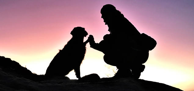 Hund og menneske i solnedgang