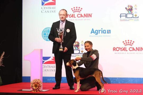 Malin Landmark kunne feire sin største triumf som juniorhandler da hun vant EM i Paris med hygenhunden Siri av Holmerud.