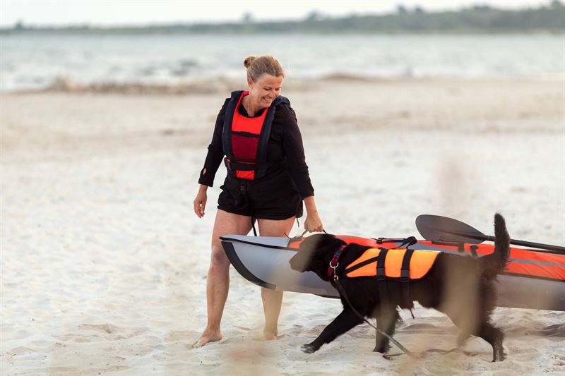 Hund og dame på stranden